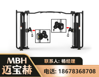 济南大飞鸟训练器