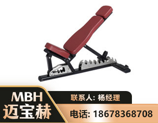 济南可调哑铃椅